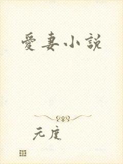 爱妻小说
