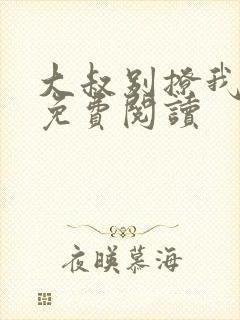 大叔别撩我小说免费阅读