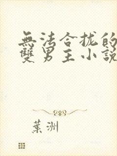 无法合拢的总裁双男主小说