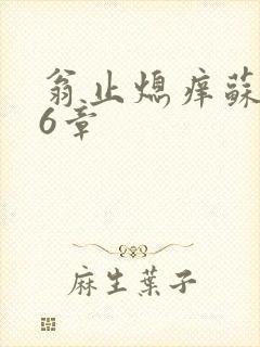 翁止熄痒苏玥第6章