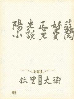 阳光正好苏玥玥小说免费阅读