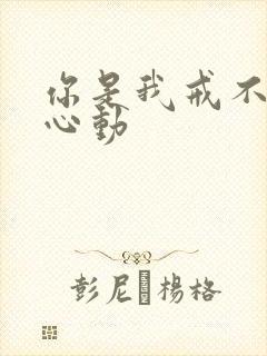 你是我戒不掉的心动