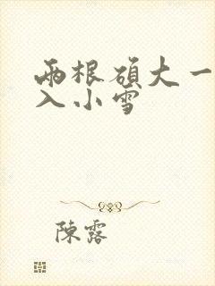 两根硕大一起挤入小雪