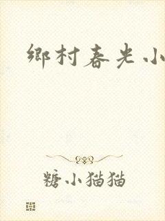 乡村春光小说