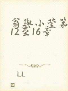 翁与小莹第十部12至16章