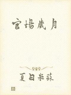 官场岁月