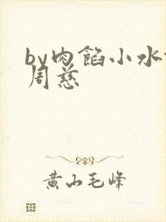 by肉馅小水饺周慈