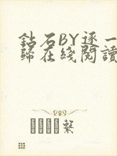 钻石BY逐一而归在线阅读