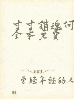 寸寸销魂何生祥全本免费