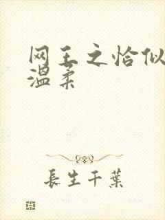 网王之恰似你的温柔