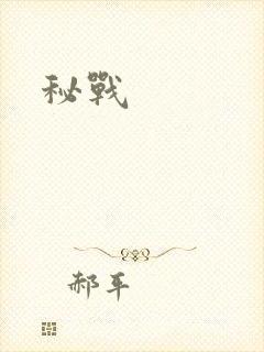 秘战