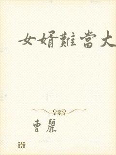 女婿难当大结局