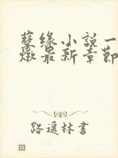 孽缘小说一家乱炖最新章节阅读