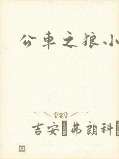 公车之狼小说