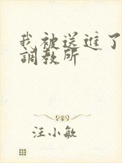 我被送进了私奴调教所