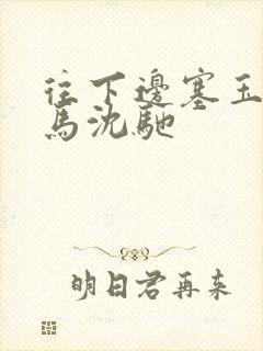 往下边塞玉器骑马沈驰