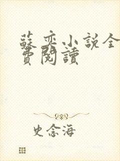 苏奕小说全文免费阅读