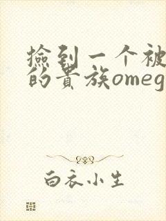 捡到一个被抹布的贵族omega