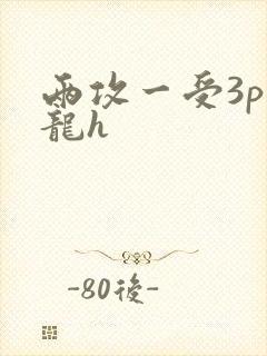 两攻一受3p双龙h