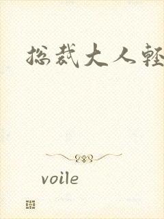 总裁大人轻一点