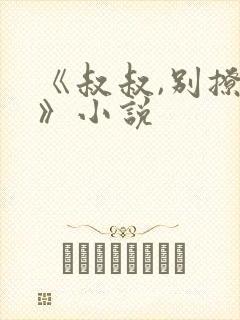 《叔叔,别撩我》小说