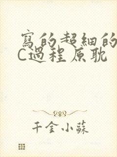 写的超细的多肉C过程原耽