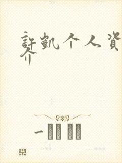 许凯个人资料简介