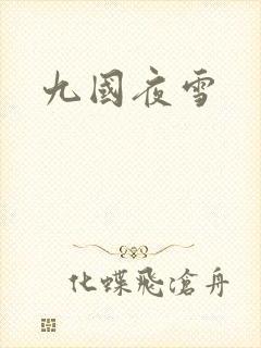 九国夜雪