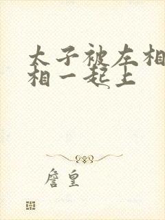 太子被左相和右相一起上