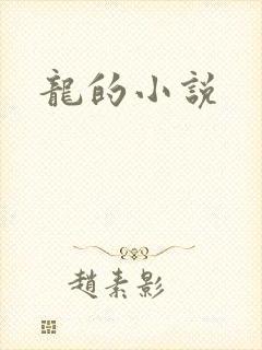 龙的小说