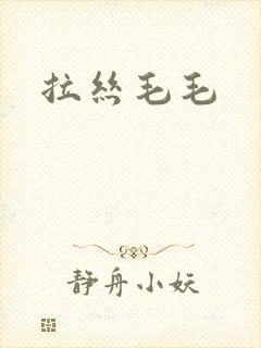 拉丝毛毛