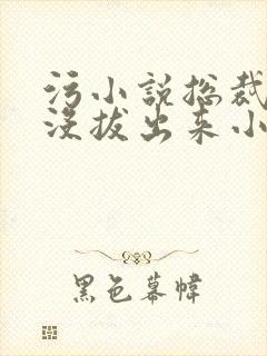 污小说总裁整夜没拔出来小说在线阅读