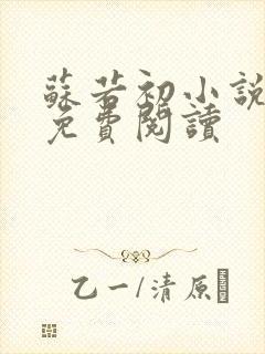 苏若初小说全文免费阅读