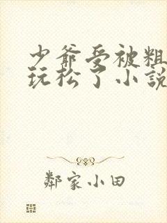 少爷受被粗汉H玩松了小说