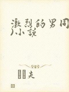 激烈的男同(h)小说