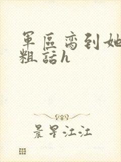 军区脔到她哭h粗话h