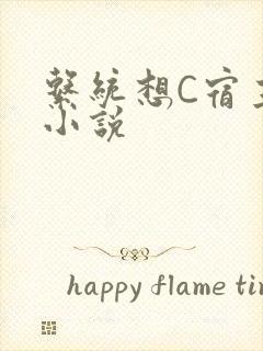 系统想C宿主的小说