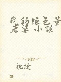 我的绝色董事长老婆 小说