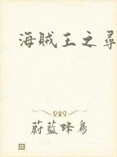 海贼王之寻亲记