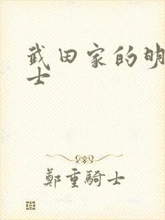 武田家的明国武士