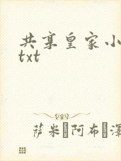 共享皇家小公主txt