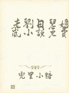 老刘日儿媳妇张岚小说免费阅读