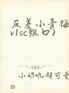 反差小青梅(1v1sc粗口)