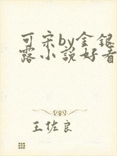 可宋by金银花露小说好看吗