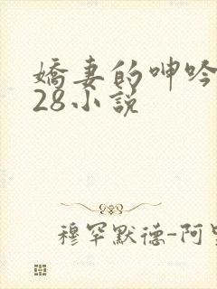 娇妻的呻吟1—28小说