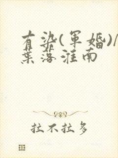 有染(军婚)/叶落淮南