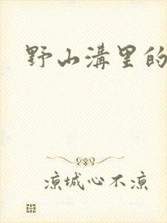 野山沟里的村庄