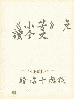 《小芳》免费阅读全文