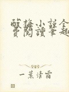 酸梅小说全文免费阅读笔趣阁