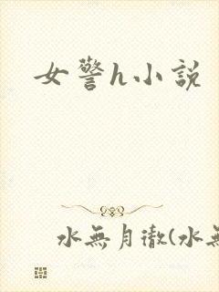 女警h小说